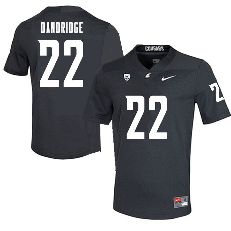 Washington State Cougars #22 Matthew Dandridge College Football Jerseys Sale-Charcoal